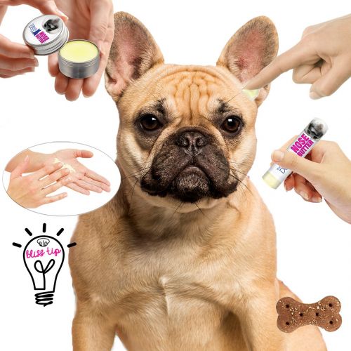  The Blissful Dog All 4 French Bulldog Nose Butter - Dog Nose Butter, 8 Ounce