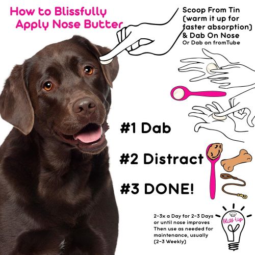  The Blissful Dog Nose Butter for Dry Dog Nose