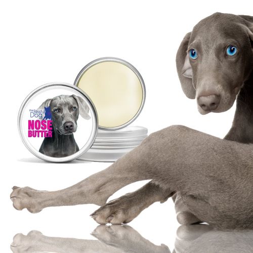  The Blissful Dog Nose Butter for Dry Dog Nose