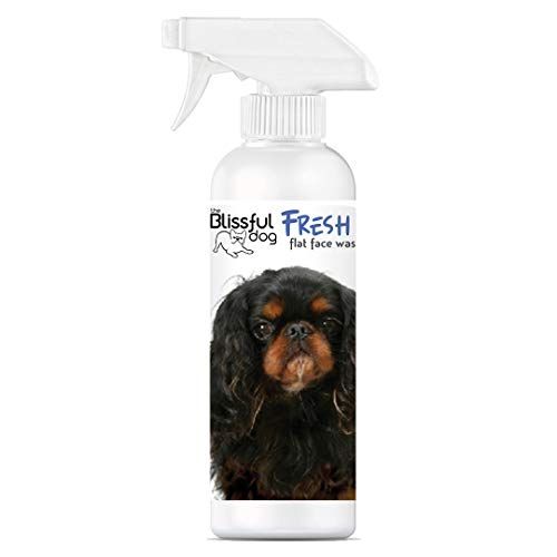  The Blissful Dog Fresh Flat Face Wash - Cleans Facial Folds and Wrinkles