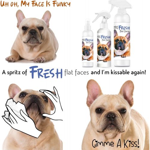  The Blissful Dog Fresh Flat Face Wash - Cleans Facial Folds and Wrinkles