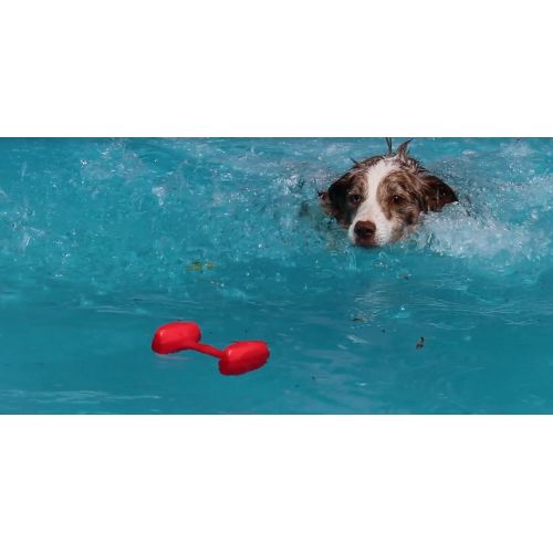  The Company of Animals - CLIX Dumbbell - Dog Retrieval Training Toy- Floats in Water - Durable for Everyday Play