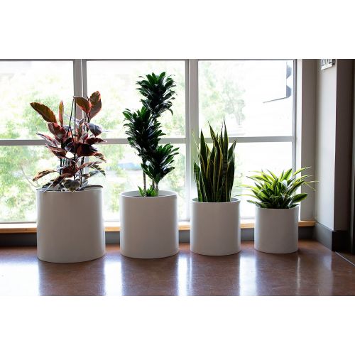  The Fiberglass Depot Brea Round Cylinder Fiberglass Planter (D:16 x H:16, Matte Black)