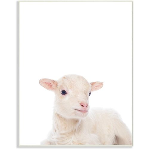  The Kids Room by Stupell Stupell Home Decor Baby Lamb Studio Photo Wall Plaque Art, 10 x 0.5 x 15, Proudly Made in USA