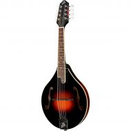 The Loar},description:The Loars new hand carved A model mandolin was developed using classic tried-and-true design techniques. With hand-shaped X-bracing and stripped down appointm
