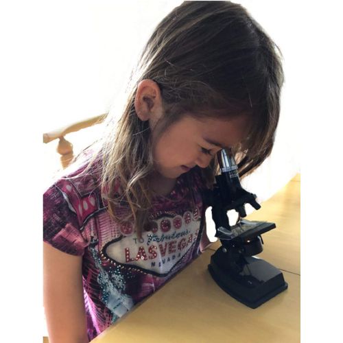  [아마존베스트]The Magic School Bus: Microscope Lab