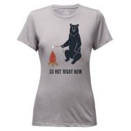 The North Face Womens Chilling Bear Tri-Blend Tee