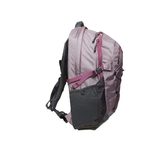 노스페이스 The North Face Womens Borealis Backpack,15 Laptop - QUAILGH/AMRTHPR, One Size (NF00CHK3ZTB-OS)