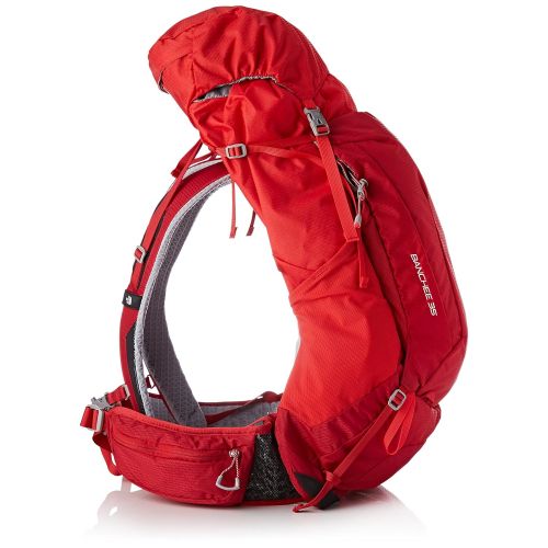노스페이스 The North Face t92scn1sw s Banchee Backpack, Red, One Size