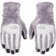 The North Face Womens Womens Denali Thermal Etip Gloves (Metallic Silver/ Lunar Ice Grey, Small)