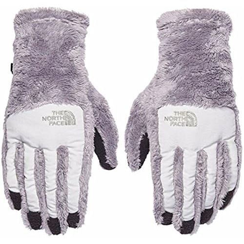 노스페이스 The North Face Womens Womens Denali Thermal Etip Gloves (Metallic Silver/ Lunar Ice Grey, Small)