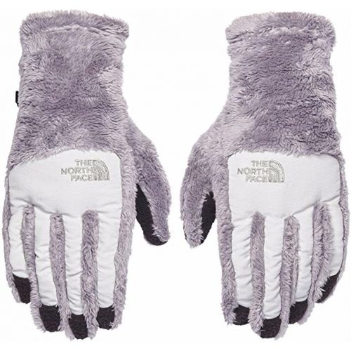 노스페이스 The North Face Womens Womens Denali Thermal Etip Gloves (Metallic Silver/ Lunar Ice Grey, Small)