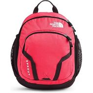 The North Face Youth Sprout School Backpack