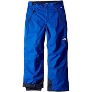 The North Face Boys Freedom Insulated Pant 2018 Bright Cobalt Blue L