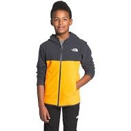 The North Face Boys Glacier Full Zip Hoodie (Little Big Kids)