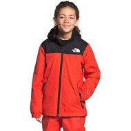 The North Face Kids Boys Warm Storm Jacket
