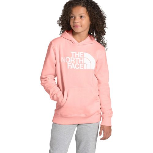 노스페이스 The North Face Youth Logowear Pullover Hoodie Sweatshirt