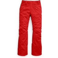 The North Face Womens Freedom Insulated Snow Pants