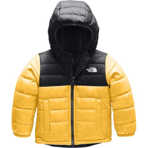 노스페이스 The North Face Toddler Boys Reversible Mount Chimborazo Hoodie (Past Season)