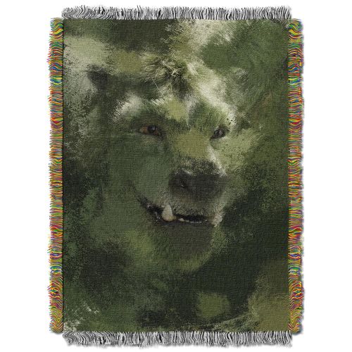  The Northwest Company Disneys Petes Dragon, Through the Green Woven Tapestry Throw Blanket, 48 x 60, Multi Color