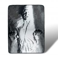 The Northwest Company Star Wars Han Solo in Carbonite Fleece Throw Blanket 46 x 60