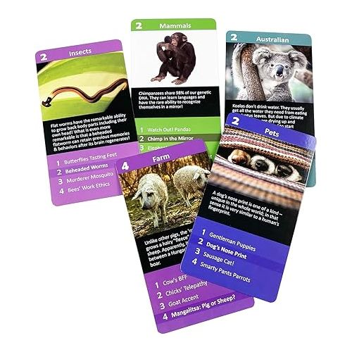  The Purple Cow Go Fish! - Funky Animals Facts - The Classic Card Game with a General Knowledge Boost for Kids & Families Ages 6+