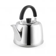 The teapot company 304 stainless steel kettle thickened large capacity 5L harmonica audio non-slip base quality teapot JPH