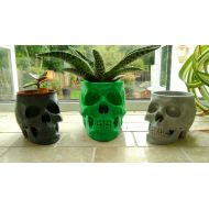 /The3DPrintSpace Skull, Plant Stand, Plant Pot, Succulent Planter, Gothic Home Decor, Succulent Pots, Cactus Decor, Skull Decor, Succulent Pot, Human Scull