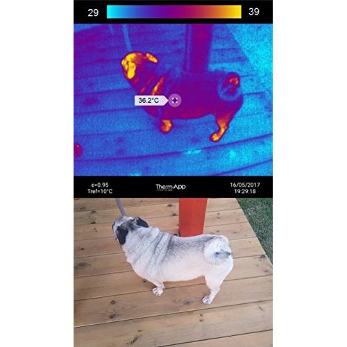  Therm-App TA19A17Q-1000 Thermal Imaging Device with 19 mm Lens