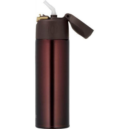 써모스 Thermos vacuum insulation straw bottle 0.55L Brown FHL-550 BW