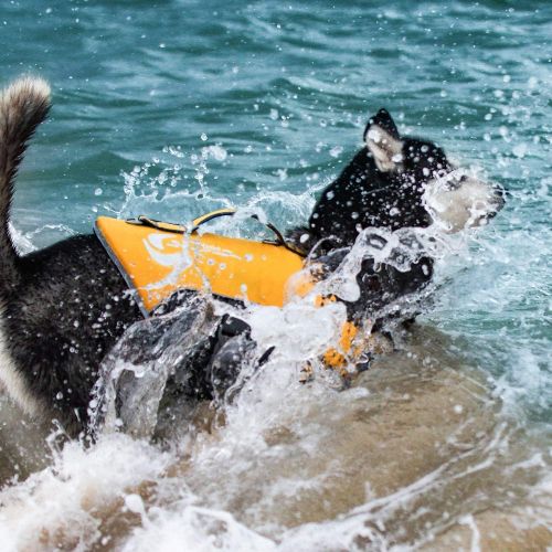  ThinkPet Dog Life Jacket, Reflective Lifesaver with Rescue Handle, Adjustable Floating Vest,High Buoyancy Aid Dog Saver