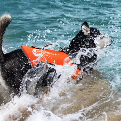  ThinkPet Dog Life Jacket, Reflective Lifesaver with Rescue Handle, Adjustable Floating Vest,High Buoyancy Aid Dog Saver