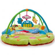 Thole Baby Activity Mat Gym Musical Pedal Piano Mat Toys Boy and Girl Newborn Gift Lay and Play Sit with Microphone Remote Control