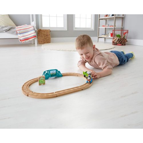 피셔프라이스 [아마존베스트]Fisher-Price Thomas & Friends Wood, Animal Park Set