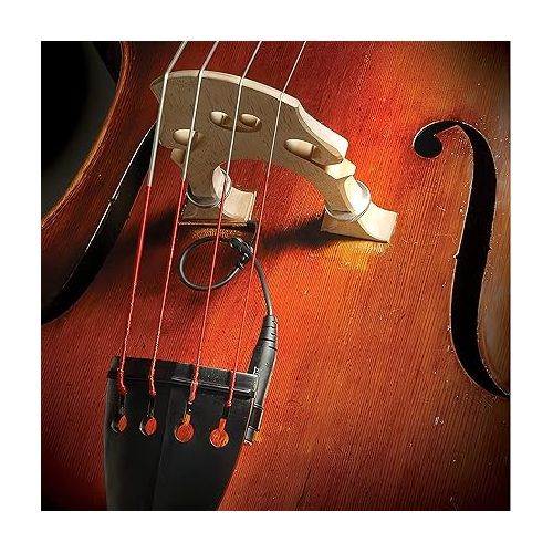  The Realist RLSTLL1 - Lifeline Piezo Pickup for Double Bass - Focused Bass Sound - Punch Without Loss of Fidelity - Easy to Install - No Luthier Required - USA Made