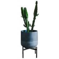 Thorne and Co Plant Stand for Indoor & Outdoor Pots - Black, Metal Potted Plant Holder for House, Garden & Patio - Mid-Century Patented Design - Low, By Thorne & Co.