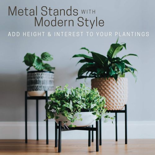  Thorne and Co Plant Stand for Indoor & Outdoor Pots - Black, Metal Potted Plant Holder for House, Garden & Patio - Mid-Century Patented Design - Low, By Thorne & Co.