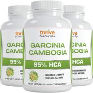 Thrive Naturals Garcinia Cambogia 95% HCA - Best Weight Loss Supplement for Men & Women - Pure Garcinia Cambogia Extract with 95% Hydroxycitric Acid - 90 Vegetarian Capsules - 1 Mo