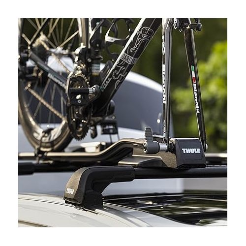 툴레 Thule FastRide Roof Mounted Bike Rack