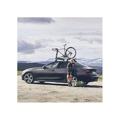 툴레 Thule TopRide Roof Mounted Bike Rack