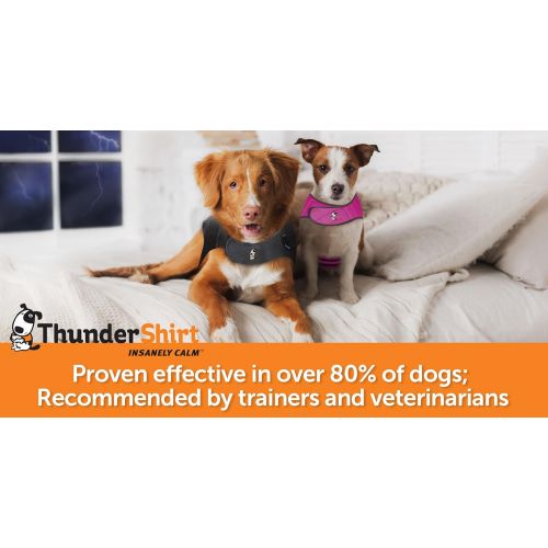  ThunderShirt Sport Dog Anxiety Jacket