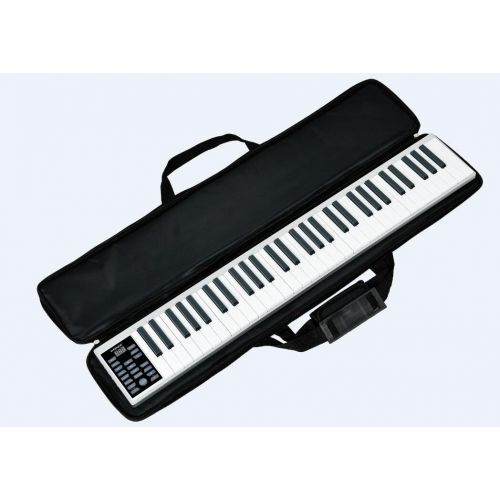  Tiangtech Newest Deluxe Portable 61-Key Electronic Keyboard with Record and Playback Functions - Electronic Midi Piano with Loudspeaker and Headphone Port