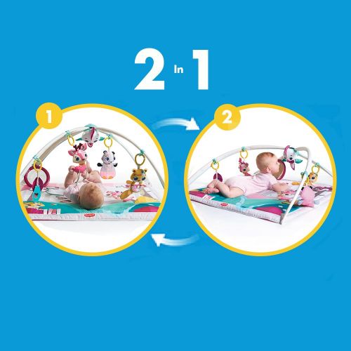 타이니러브 Tiny Love Gymini Deluxe Infant Activity Gym Play Mat, Tiny Princess Tales