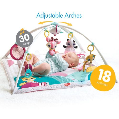 타이니러브 Tiny Love Gymini Deluxe Infant Activity Gym Play Mat, Tiny Princess Tales