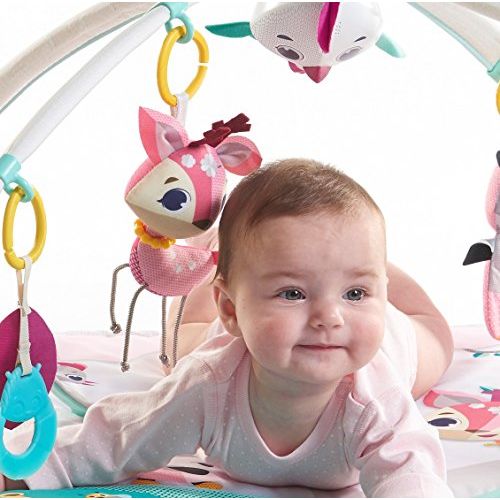 타이니러브 Tiny Love Gymini Deluxe Infant Activity Gym Play Mat, Tiny Princess Tales