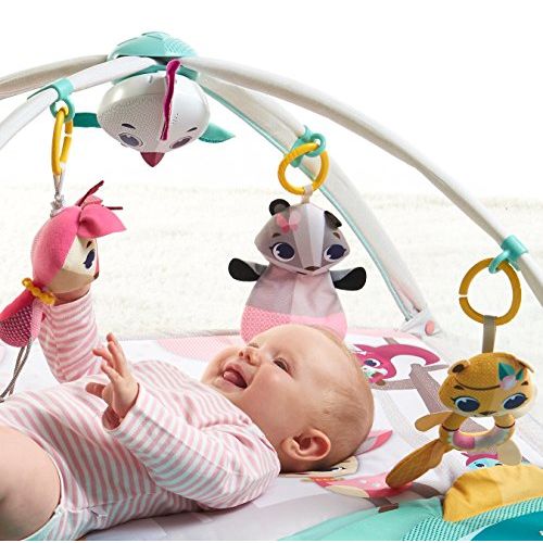 타이니러브 Tiny Love Gymini Deluxe Infant Activity Gym Play Mat, Tiny Princess Tales