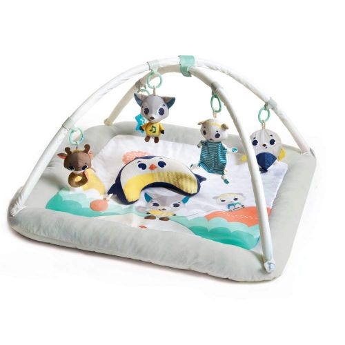 타이니러브 Tiny Love Gymini Deluxe Infant Activity Gym Play Mat, Tiny Princess Tales