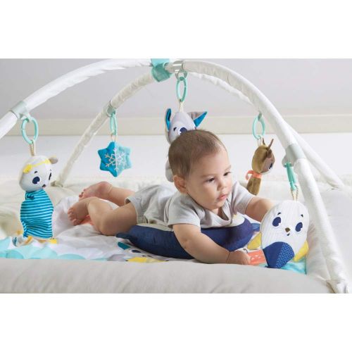 타이니러브 Tiny Love Gymini Deluxe Infant Activity Gym Play Mat, Tiny Princess Tales