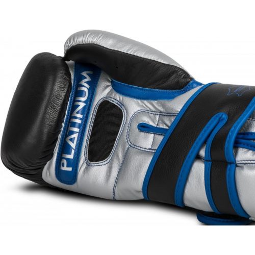  Title Boxing Title Platinum Perilous Training Gloves