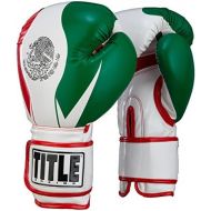 Title Boxing TITLE Infused Foam El Combate Mexico Training Gloves